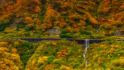 スノーシェッドを流れ落ちる水　紅葉の六十里越　絶景