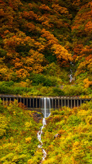スノーシェッドを流れ落ちる水　紅葉の六十里越　絶景　縦構図