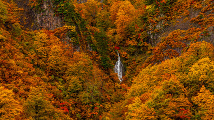 紅葉の森を流れ落ちる滝　会津　只見　六十里越　絶景