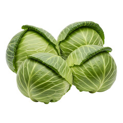 Fototapeta premium Fresh green cabbages beautifully arranged, isolated on transparent background