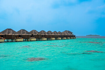 Tranquil closeup calm sea water waves with palm trees. Beautiful Panorama, Tropical island beach landscape exotic shore coast. Summer vacation, holiday amazing nature. Relax paradise, Maldives.