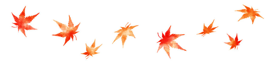 Watercolor maple leaves illustration with gentle autumn colors, scattered red and orange Japanese maple leaves on transparent background for seasonal design and decoration