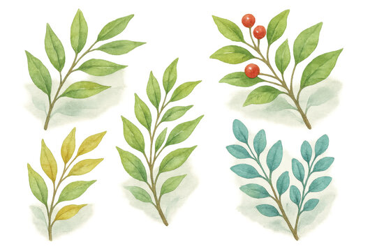 Watercolor botanical leaves and red berries branches set with transparent background, nature illustration for spring or autumn