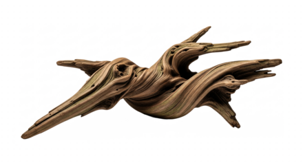 Driftwood branch isolated on transparent background