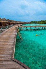 Tranquil closeup calm sea water waves with palm trees. Beautiful Panorama, Tropical island beach landscape exotic shore coast. Summer vacation, holiday amazing nature. Relax paradise, Maldives.