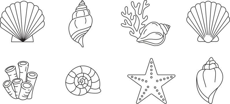 Vector pictograms of scallop shell, conch shell, spiral shell, tube coral, starfish, thin linear illustration