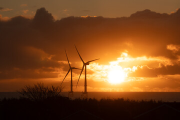 Obraz premium Wind turbines during sunrise in the North Sea. 