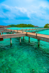 Tranquil closeup calm sea water waves with palm trees. Beautiful Panorama, Tropical island beach landscape exotic shore coast. Summer vacation, holiday amazing nature. Relax paradise, Maldives.