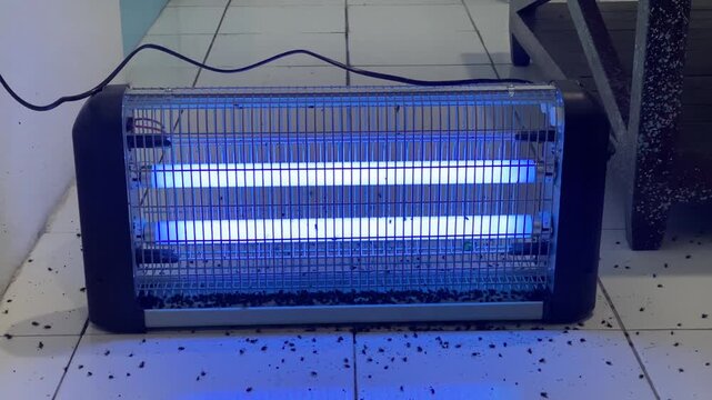 Electric insect killer lamp with blue light and dead insects on the floor