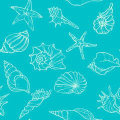 Seashells and starfish on a beige background. Hand-drawn marine illustration in delicate beige and white tones,