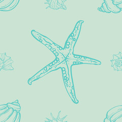 Seashells and starfish on a beige background. Hand-drawn marine illustration in delicate beige and white tones,