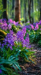 Vibrant Purple Flowers Bloom Beside a Forest Path in Springtime Woods