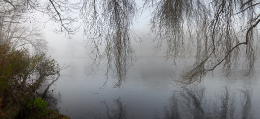 The branches of the riverside forest hang like eyelashes over the Minho River