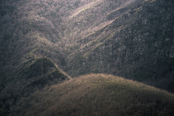 The wooded mountains of the Oribio Range in winter