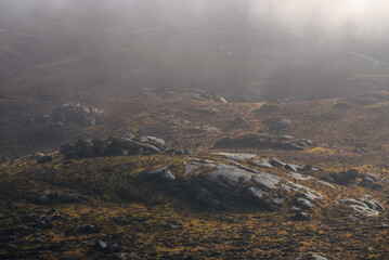 Weak winter sun barely pierces the fog in the rocky landscape