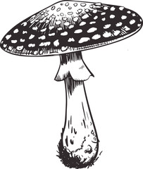 Black and white mushroom illustration fungus