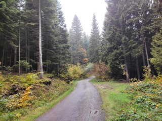 road in the mountains