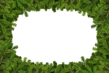 Vibrant green pine branches form a decorative border around an empty center, creating a perfect space for adding text or other visuals. christmas tree concept backgound with copy space