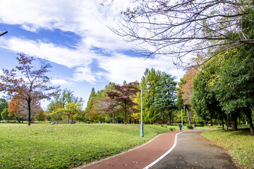 Japanese Park (Iruma Saienomori Park) - 11