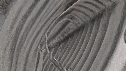 Abstract grayscale image of a curved ribbed structure with a central element.