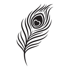 peacock feather vector