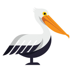 illustration of a pelican