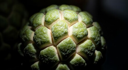 Macro Photography of Exotic Fruit Showing Unique Patterns and Textural Details