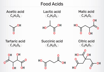 Food acids molecules. Acetic acid (E260), lactic acid (E270), citric acid (E330), malic acid (E296), succinic acid (E363), tartaric acid (E334). Vector illustration