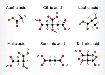 Сommon food acids molecules. Acetic acid (E260), lactic acid (E270), citric acid (E330), malic acid (E296), succinic acid (E363), tartaric acid (E334). Sheet of paper in a cage. Vector illustration
