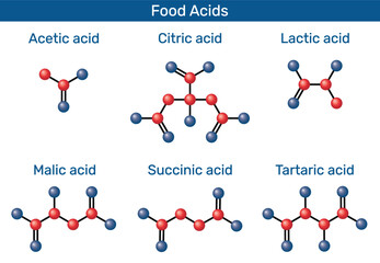Food acids 3D model molecules. Acetic acid (E260), lactic acid (E270), citric acid (E330), malic acid (E296), succinic acid (E363), tartaric acid (E334). Vector illustration