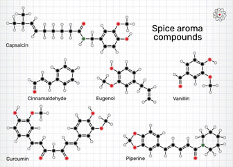 Spice aroma compounds molecule. Chemical structures of vanillin, cinnamaldehyde, eugenol, curcumin, piperine and capsaicin. Sheet of paper in a cage. Vector Illustration