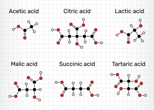 Сommon food acids molecules. Acetic acid (E260), lactic acid (E270), citric acid (E330), malic acid (E296), succinic acid (E363), tartaric acid (E334). Sheet of paper in a cage. Vector illustration