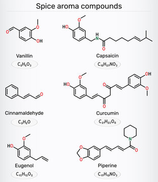 Spice aroma compounds molecule. Chemical structures of vanillin, cinnamaldehyde, eugenol, curcumin, piperine and capsaicin. Vector illustration