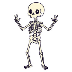 skeleton with a skull