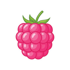  pink raspberry fruit