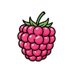  pink raspberry fruit