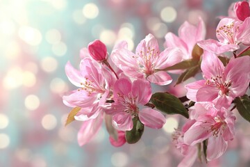 Obraz premium Spring Blossoms Fill the Air With Beauty in a Vibrant Garden During the Morning Light