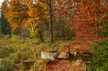 A small footbridge leads to the path with its autumnal colors.