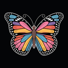 Butterfly on black background