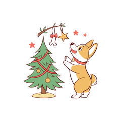 Cute corgi dog decorating christmas tree with bone ornament