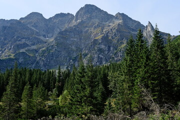 Tatry, zielone leśne zbocza i skalne ściany z górskimi szczytami w tle, letni krajobraz
