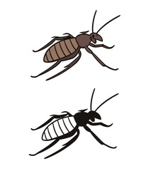 vector illustration of a bee
