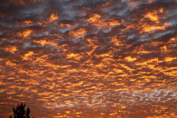 夜明け前の空の雲1