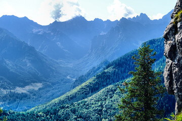 Tatry, zielone leśne zbocza i skalne ściany z górskimi szczytami w tle, letni krajobraz © Przemysaw