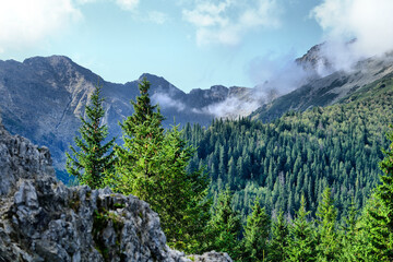 Tatry, zielone leśne zbocza i skalne ściany z górskimi szczytami w tle, letni krajobraz © Przemysaw