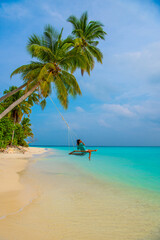 Tranquil closeup calm sea water waves with palm trees. Woman tourist swinging, Tropical island beach landscape exotic shore coast. Summer vacation, holiday amazing nature. Relax paradise, Maldives.