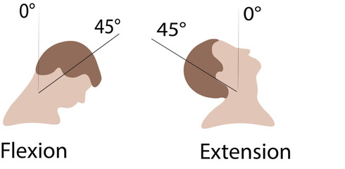 Cervical Spine Range of Motion – Flexion and Extension with End-Range Positions | Medical Anatomy Illustration