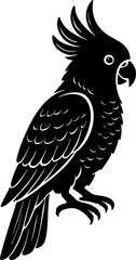 Silhouette of a cockatoo head with crest details in flat black vector design.