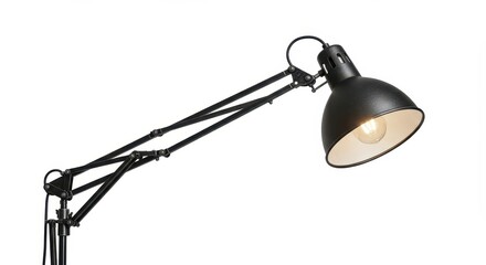 Adjustable architect style floor lamp features a dark metal finish and illuminated bulb