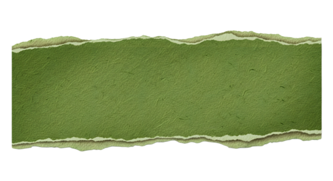 Green torn paper with rough texture isolated on transparent background for design
